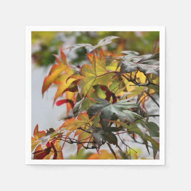 Fall Serviette (Vorderseite)