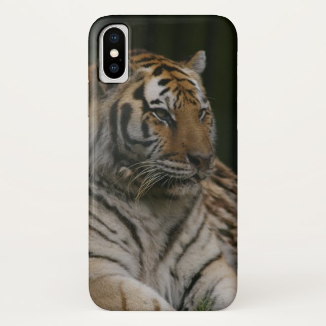 Fall Siberian Tiger Case-Mate iPhone Hülle (Rückseite)