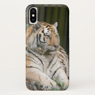 Fall Siberian Tiger Tigress Case-Mate iPhone Hülle