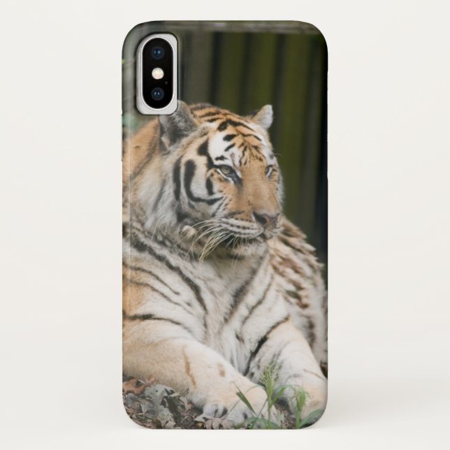 Fall Siberian Tiger Tigress Case-Mate iPhone Hülle (Rückseite)