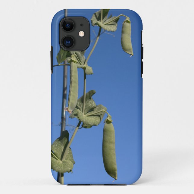 Fall Snow Peas auf Blue Sky iPhone 5 Case-Mate iPhone Hülle (Rückseite)