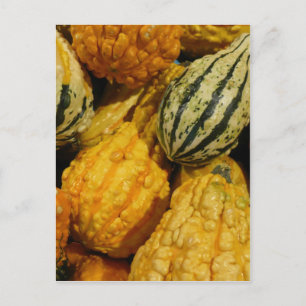 Fall Squash Postkarte