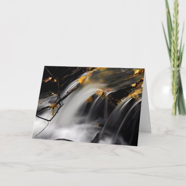 FALL STREAM: Der Frühling des Lernens Karte (Vorderseite)