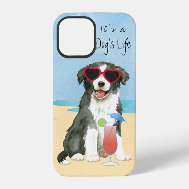 Fall "Summer Border Collie Case-Mate" iPhone 12 Hülle (Rückseite)