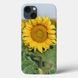 Fall Sunflower iPhone 13 Case-Mate iPhone Hülle