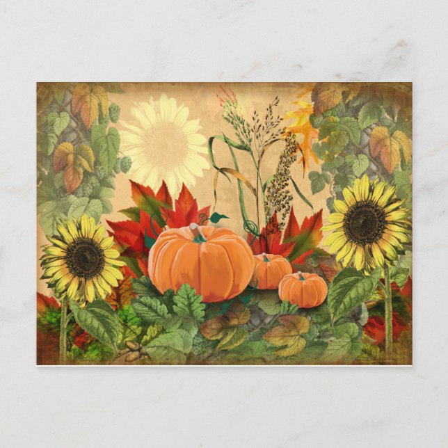 Fall Sunflower Pumpkin Herbst Postkarte (Vorderseite)
