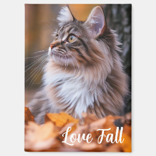 Fall Time Cat Magnet