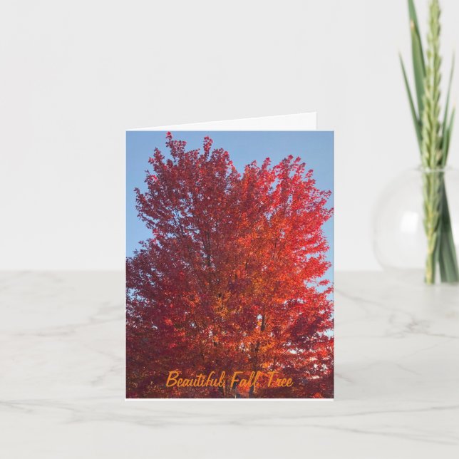 Fall Tree Bild | (Vorderseite)