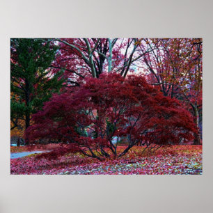 Fall Tree Landschaft Poster