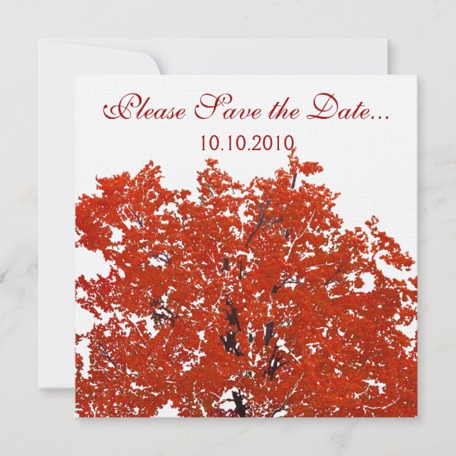 Fall Tree Rett-the-date Save The Date (Vorderseite)