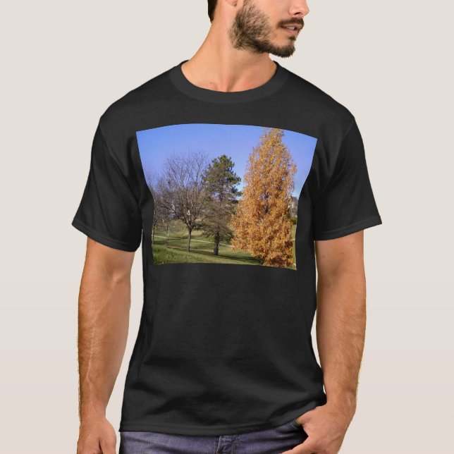 Fall Trees T-Shirt (Vorderseite)