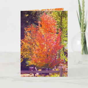 Fall und Erntedank Karte 2