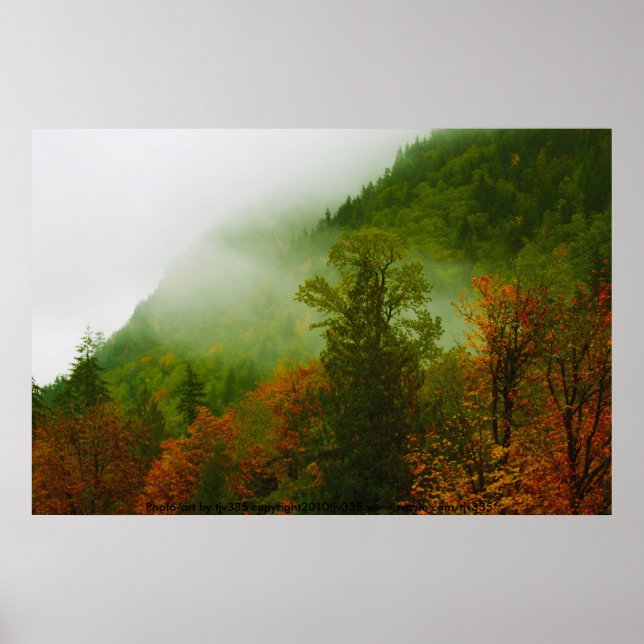 Fall- und Nebeldruck Poster (Vorne)