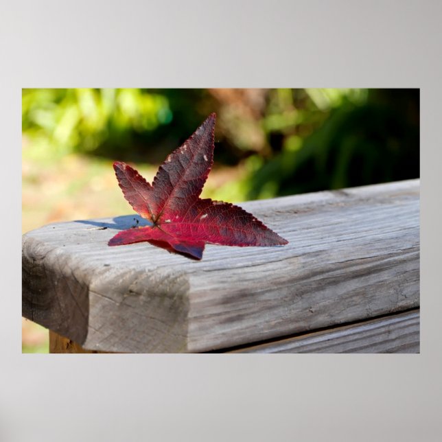 Fall Verlassen Poster (Vorne)