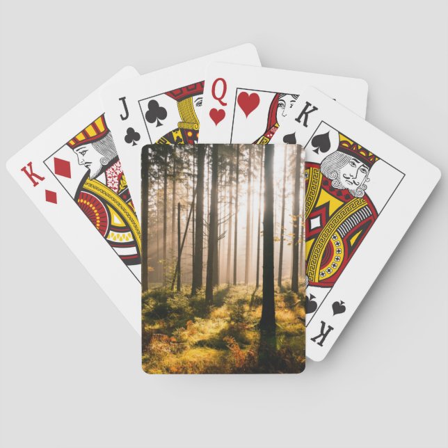 Fall-Wald mit Sunrays Spielkarten (Rückseite)