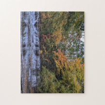 Fall Wasserfall Puzzle