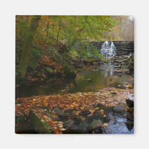 Fall Wasserfall und Creek Pennsylvania Natur Magnet