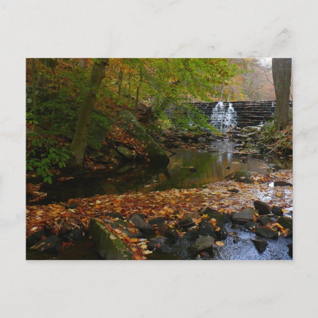 Fall Wasserfall und Creek Pennsylvania Natur Postkarte (Vorderseite)