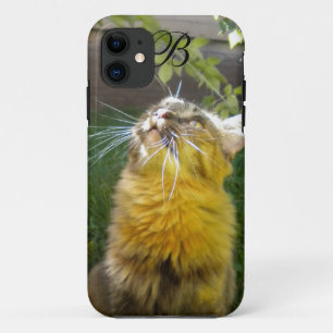 Fall wertvoll Kitty Monogram iPhone 5 Case-Mate iPhone Hülle