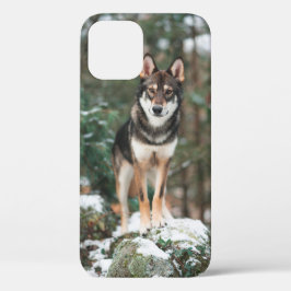 Fall Wolfdog iPhone 12 Case-Mate iPhone Hülle