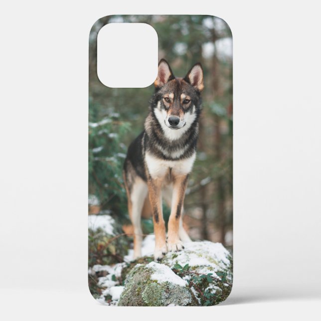 Fall Wolfdog iPhone 12 Case-Mate iPhone Hülle (Rückseite)