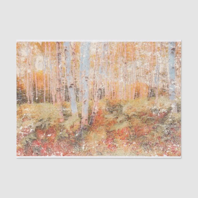 Fall Woodland Fern Forest Birch belastete Bäume Seidenpapier (Vorderseite)