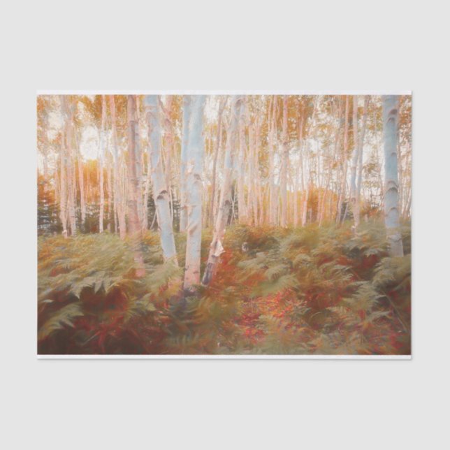 Fall Woodland Fern Forest Birch Trees Art Seidenpapier (Vorderseite)