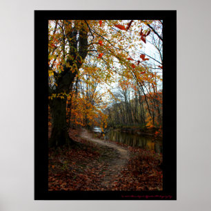 Fallbaum entlang des Windpfades Poster