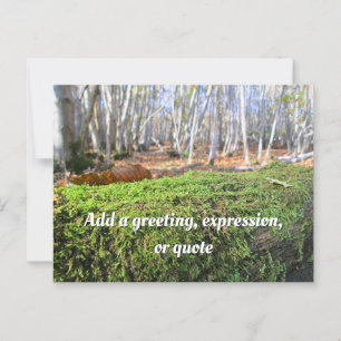 Fallbaum im Herbstmoos - Personalisiert Postkarte
