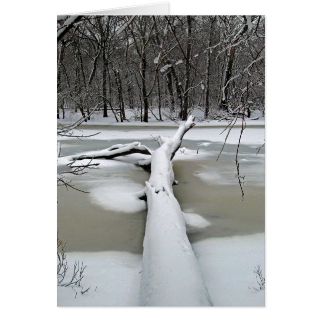 Fallbaum in Winterkarte (Vorne)