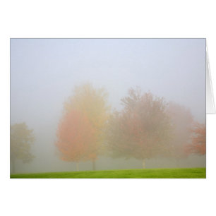 Fallbäume eingehüllt in Nebel