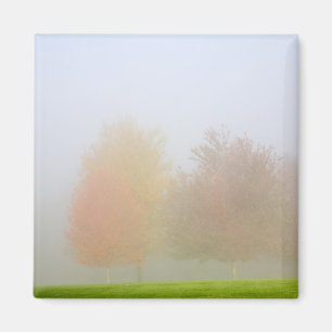 Fallbäume eingehüllt in Nebel Magnet