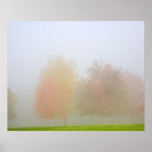 Fallbäume eingehüllt in Nebel Poster