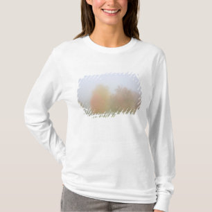 Fallbäume eingehüllt in Nebel T-Shirt