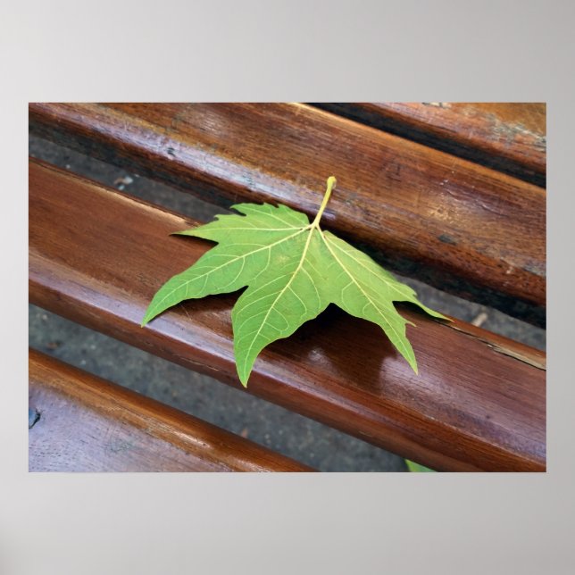 Fallblatt Poster (Vorne)