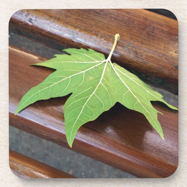 Fallblatt Untersetzer (Vorderseite)