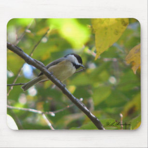 FallChickadee Mousepad