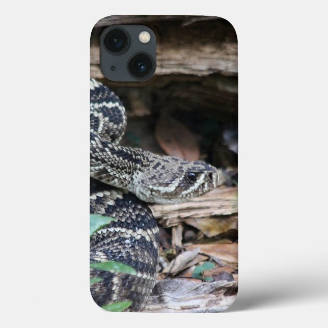 Fälle von Rattlesnake iPhone Case-Mate iPhone Hülle (Rückseite)