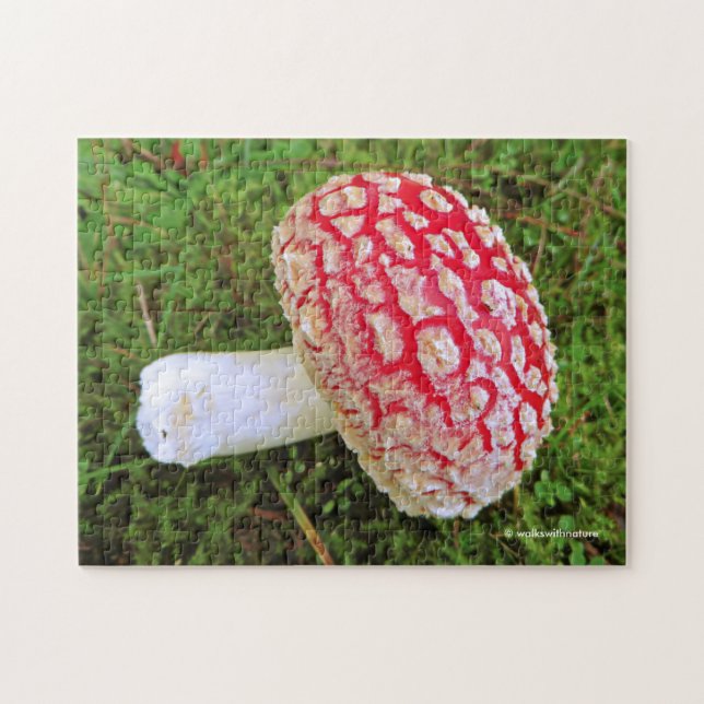 Fallen Agarius / Amanita Muscaria Roter Pilz (Horizontal)