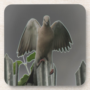 Fallen Angel Dove Cork Untersetzer
