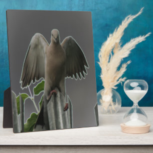Fallen Angel Dove Plaque Fotoplatte