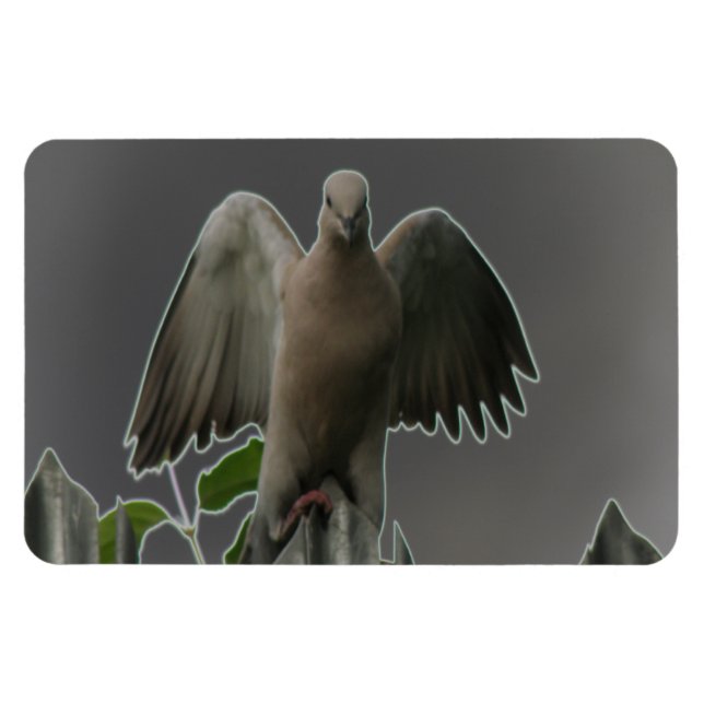 Fallen Angel Dove Premium Magnet (Horizontal)