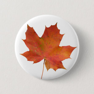 Fallen Leaf 01 Button