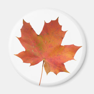 Fallen Leaf 01 Magnet