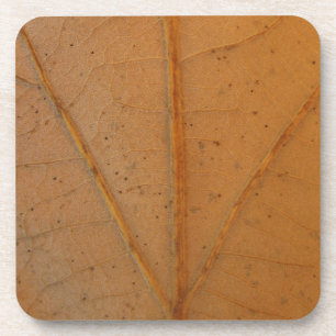 Fallen Leaf 6 Getränkeuntersetzer