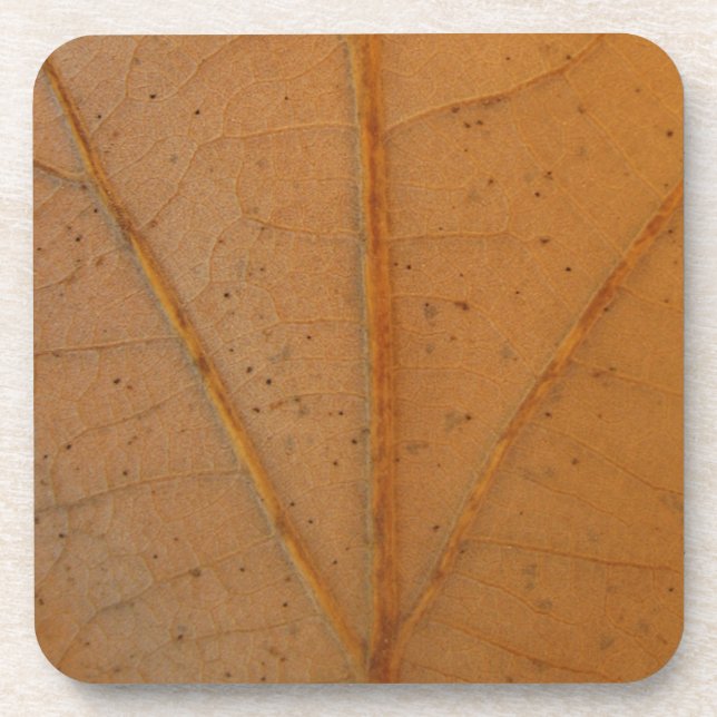 Fallen Leaf 6 Getränkeuntersetzer (Vorderseite)