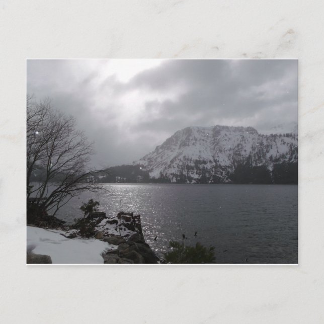 Fallen Leaf Lake Postkarte (Vorderseite)