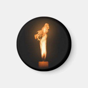 Fallen Magnet