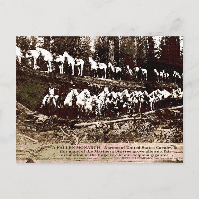 Fallen Monarch - Postkarte (Vorderseite)