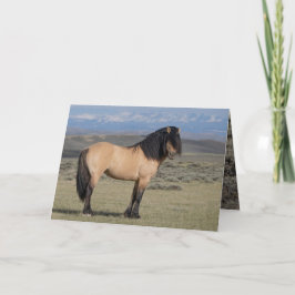 "Fallen Star in Front of the Wind River Mountains" Einladung